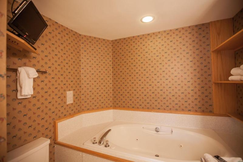 Smuggler S Notch Resort By Resort Stay image