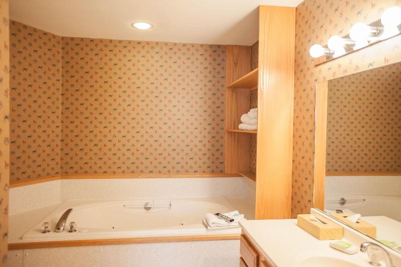 Smuggler S Notch Resort By Resort Stay image