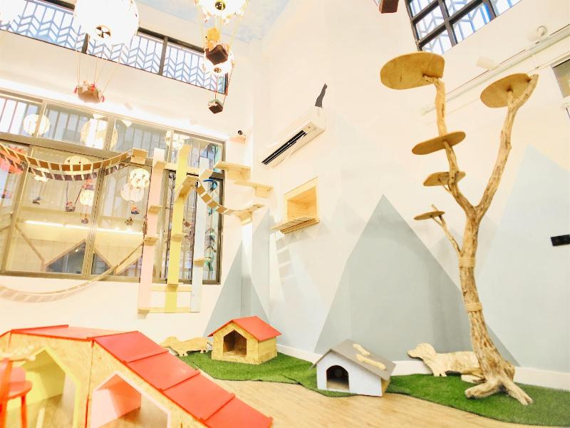 Snail Pets Homestay image