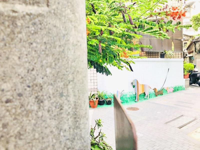 Snail Pets Homestay image