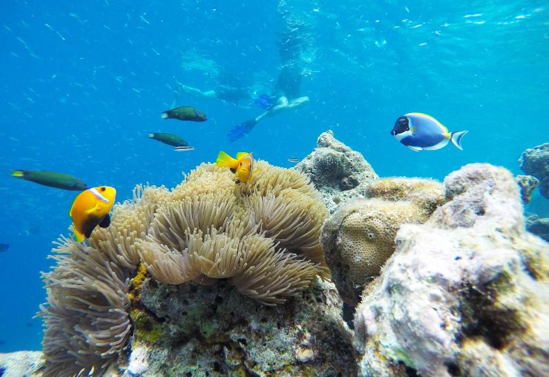 Kaafu Inn Guraidhoo image