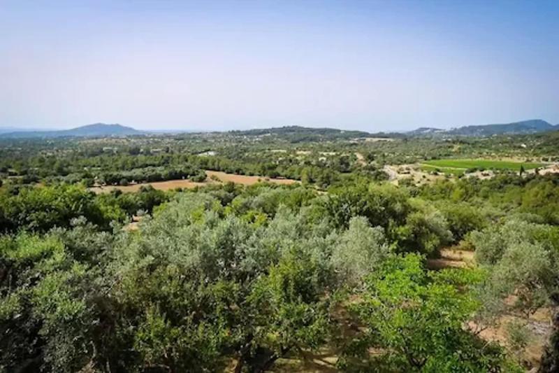 Finca Hotel Es Castell image
