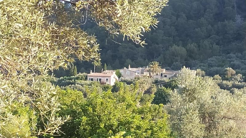 Finca Hotel Es Castell image