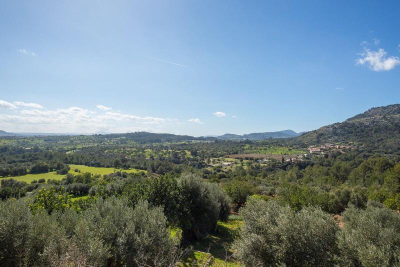 Finca Hotel Es Castell image