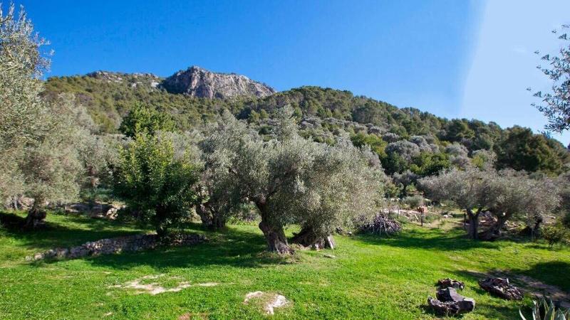Finca Hotel Es Castell image