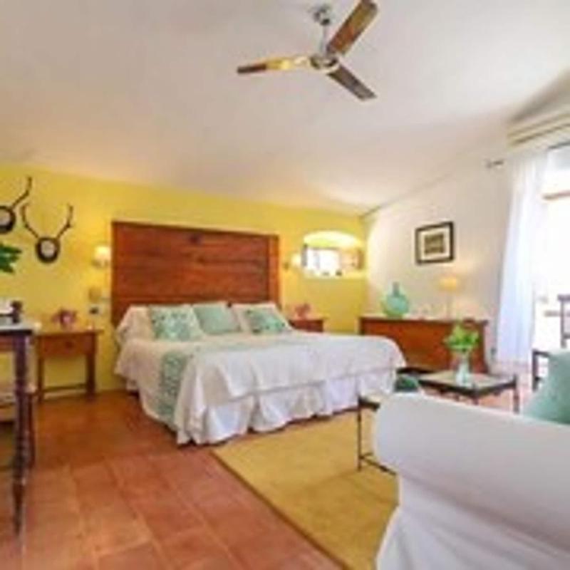 Finca Hotel Es Castell image