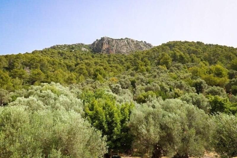 Finca Hotel Es Castell image