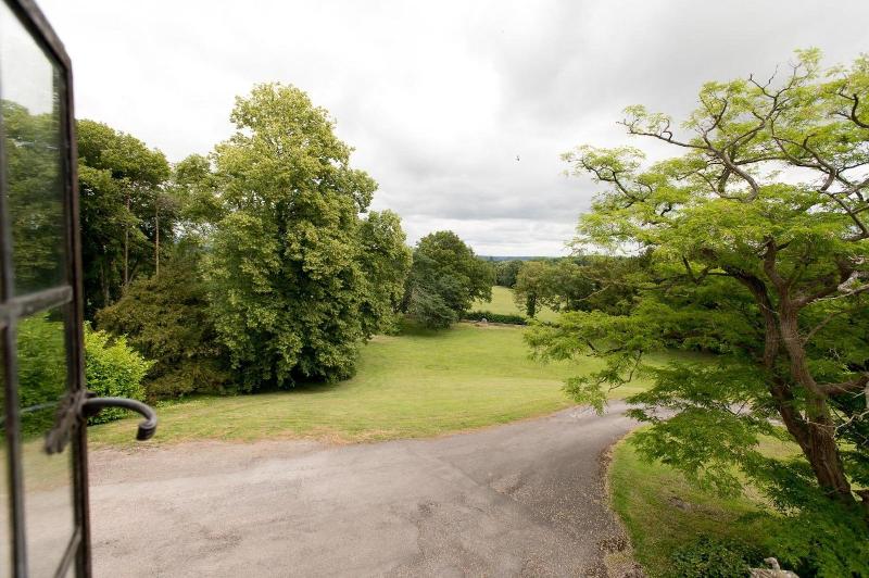 Burton Court image