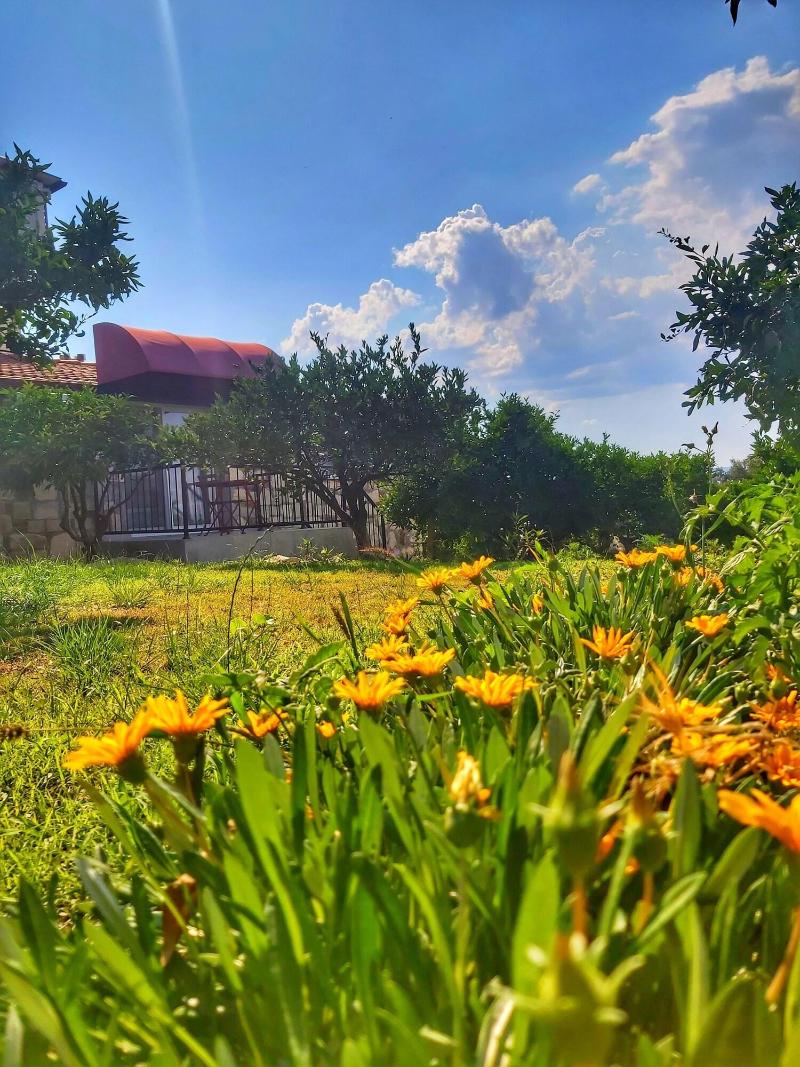 Satsuma Butik Otel image