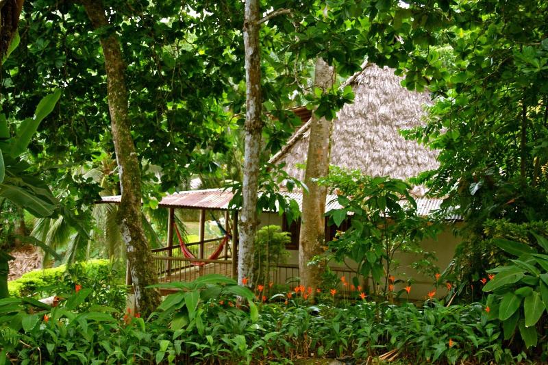 Bosque Del Cabo Rain Forest Lodge