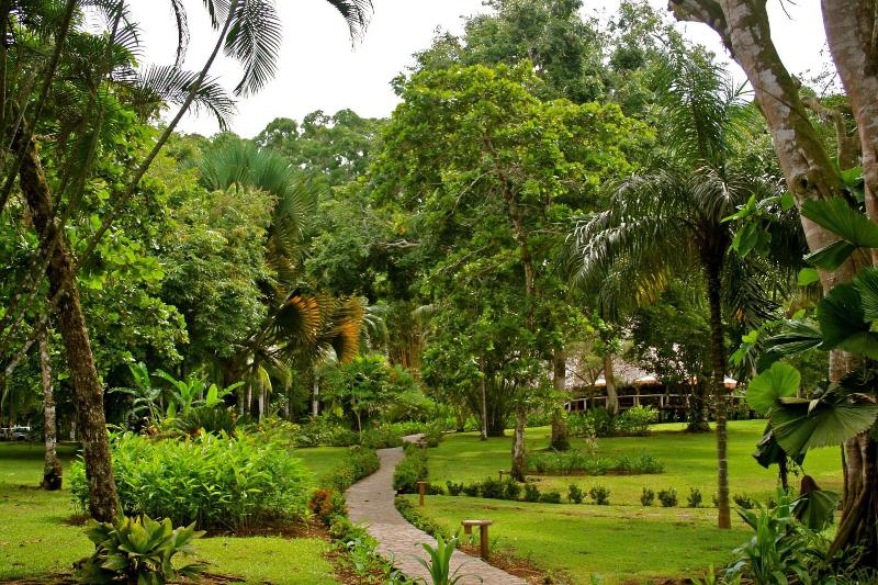 Bosque Del Cabo Rain Forest Lodge