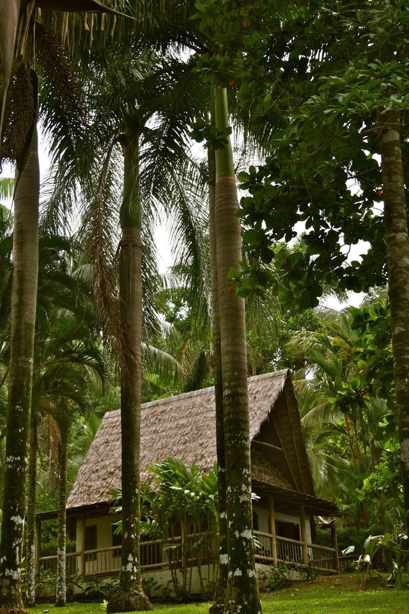 Bosque Del Cabo Rain Forest Lodge