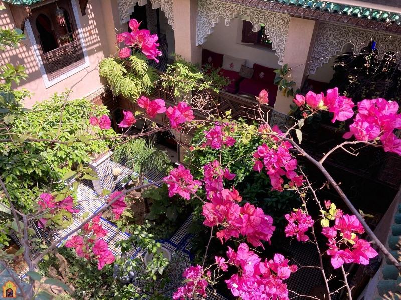 Riad Toyour image