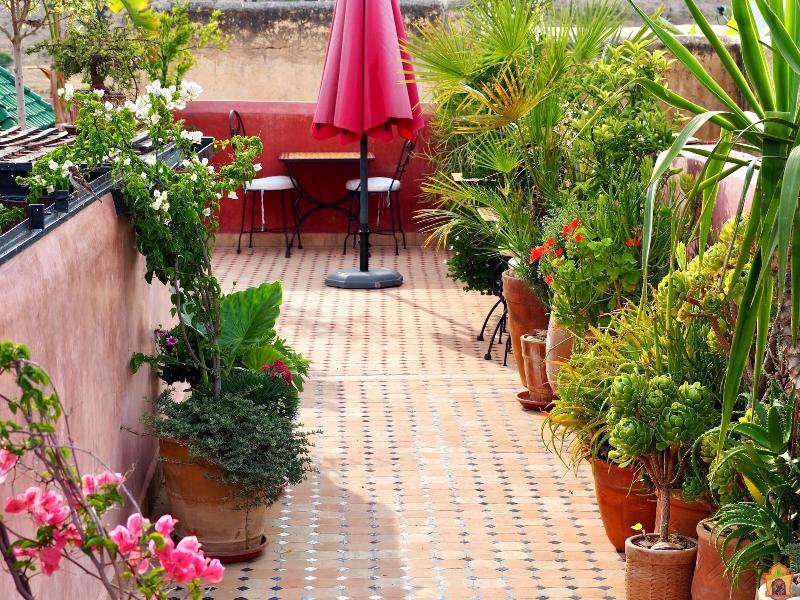 Riad Toyour image