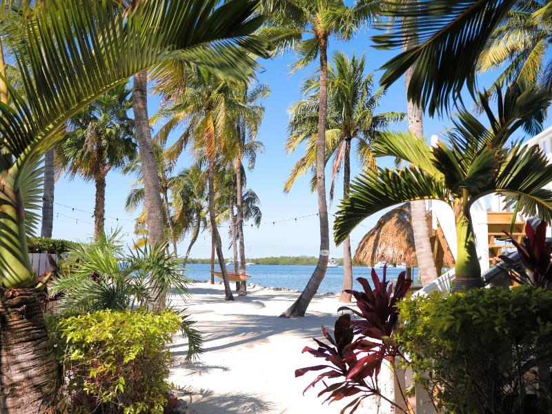 Coconut Palm Inn image