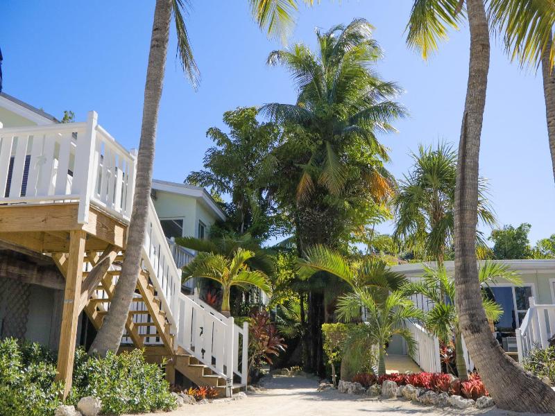 Coconut Palm Inn image