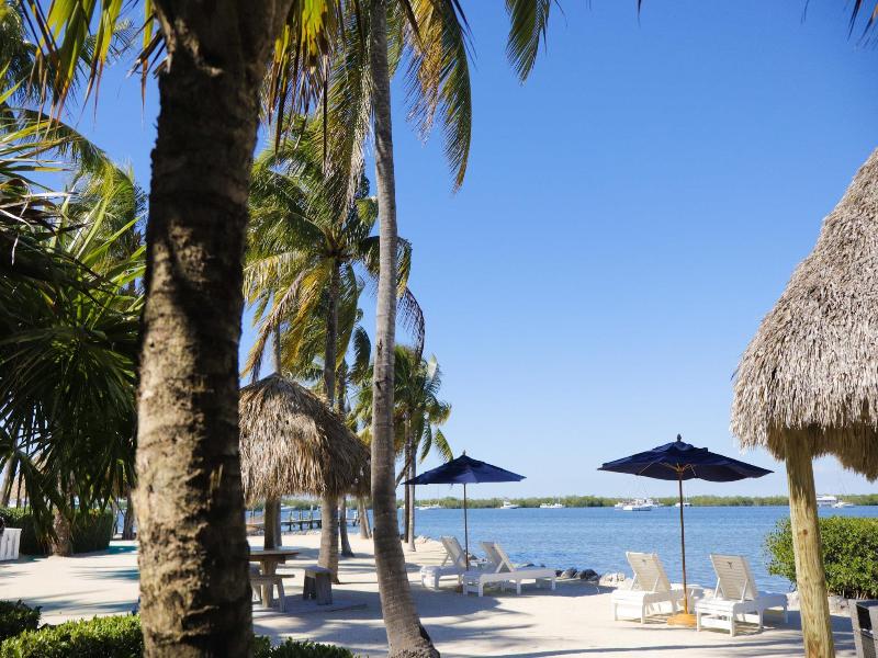 Coconut Palm Inn image