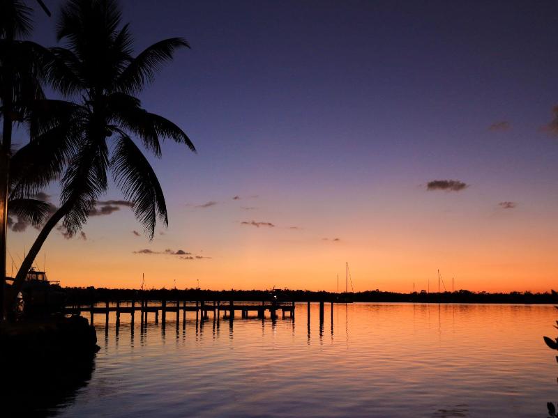 Coconut Palm Inn