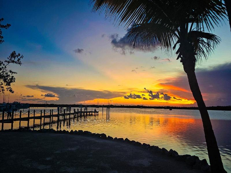 Coconut Palm Inn