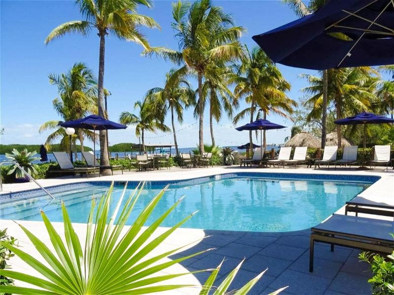 Coconut Palm Inn image
