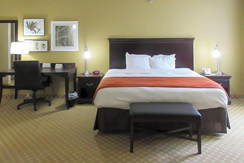 Quality Inn Suites image