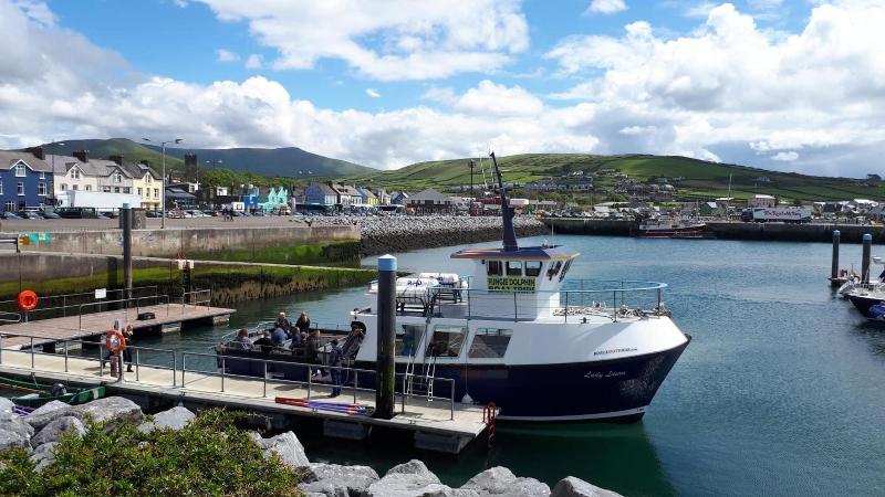 Dingle Harbour Nights image