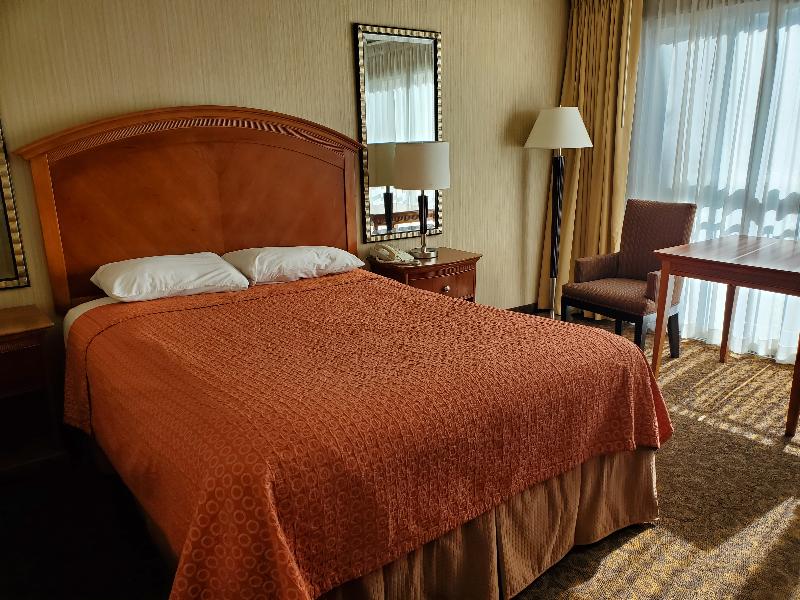 Royal Pacific Motor Inn image