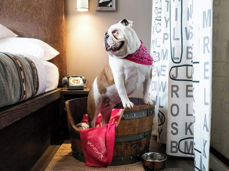 Moxy Louisville Downtown image