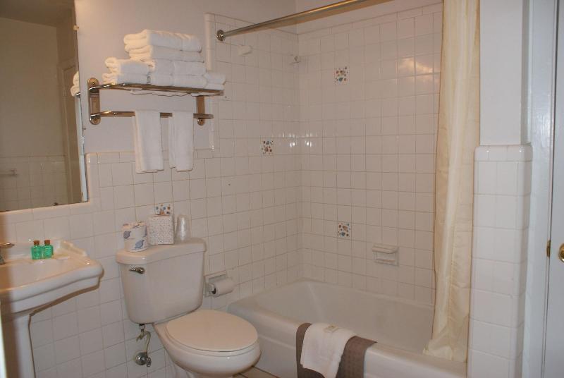 French Quarter Suites Hotel image