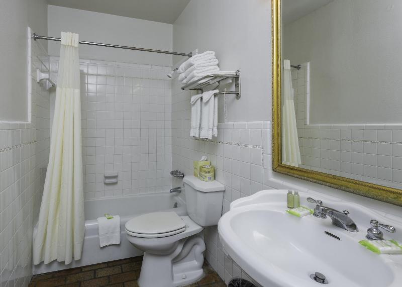 French Quarter Suites Hotel image