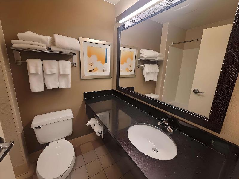 Dubuque Inn & Suites image