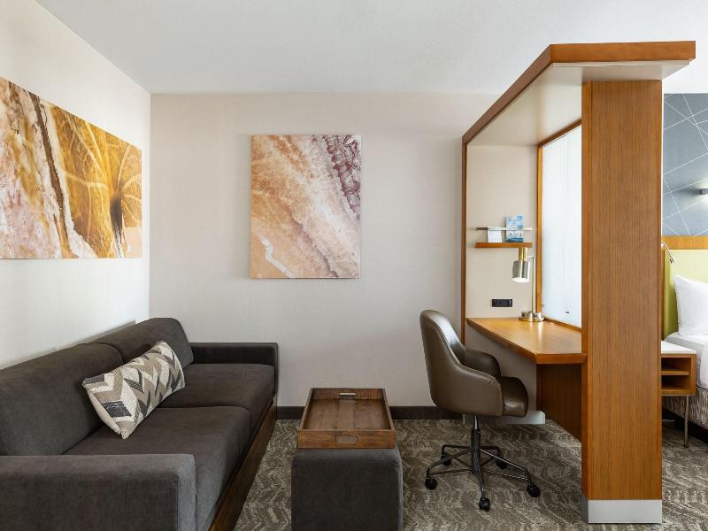 Springhill Suites Wisconsin Dells image