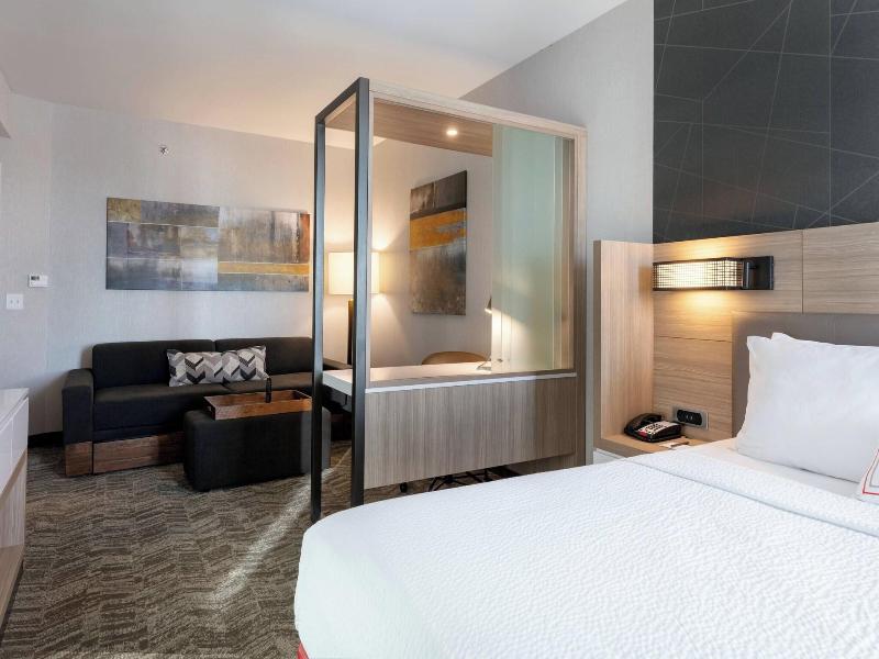 SpringHill Suites by Marriott Chattanooga South/Ri image