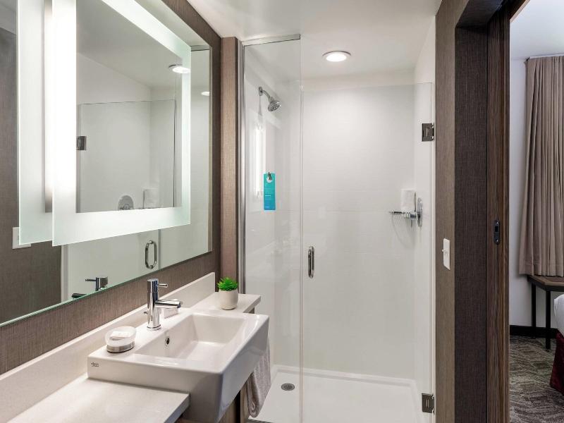 SpringHill Suites by Marriott Chattanooga South/Ri image
