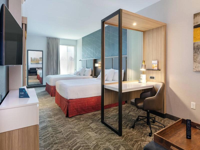 SpringHill Suites by Marriott Chattanooga South/Ri image