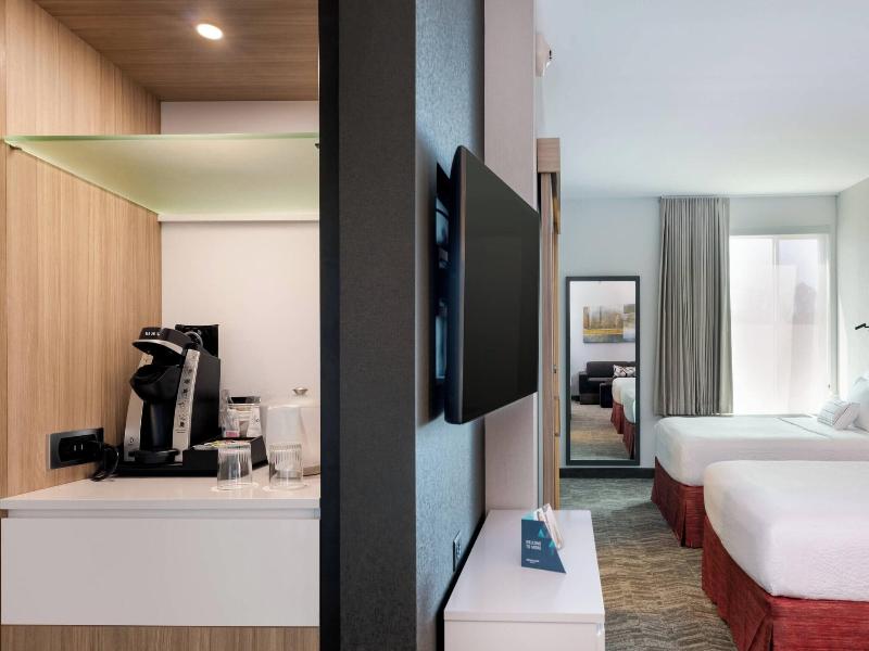 SpringHill Suites by Marriott Chattanooga South/Ri image