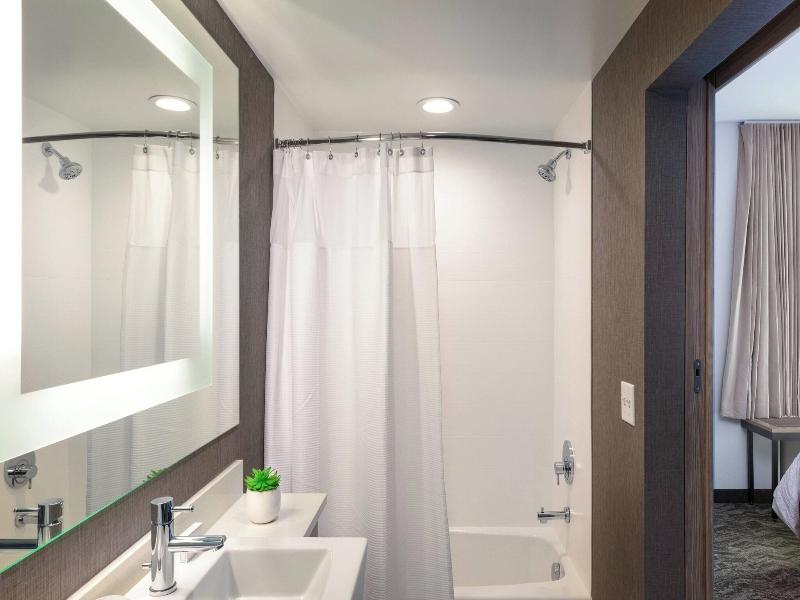 SpringHill Suites by Marriott Chattanooga South/Ri image