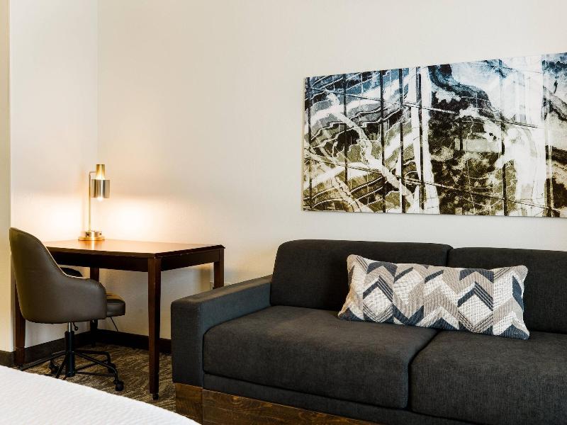 Springhill Suites By Marriott Florence image
