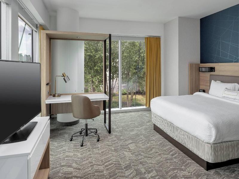 Springhill Suites By Marriott Greenville Downtown image