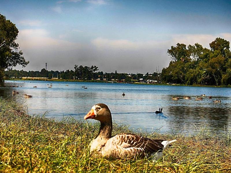 Lakeview Boutique Hotel & Conference Center image
