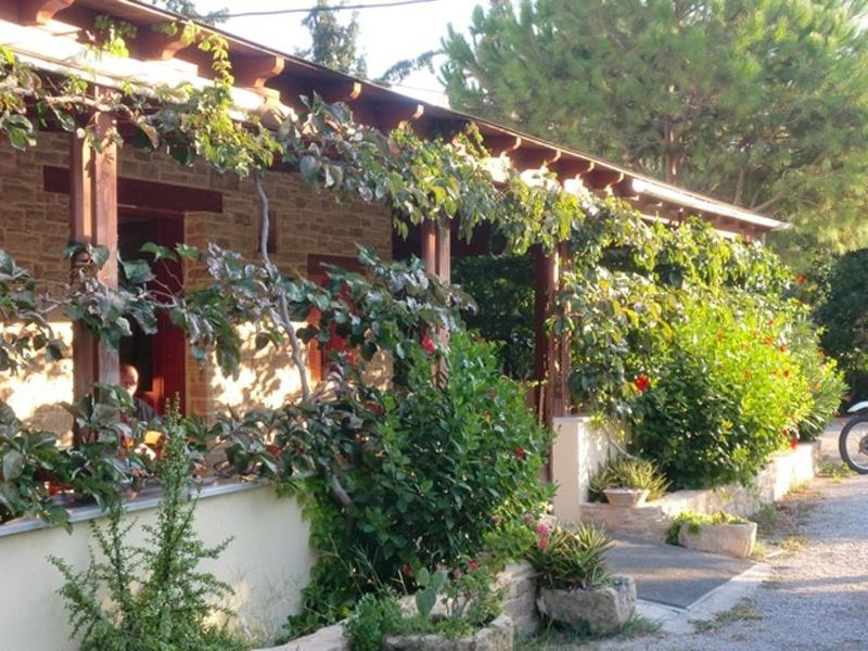 Hotel Neos Matala image