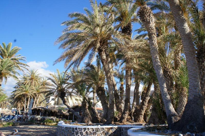 Palm Beach Hotel image