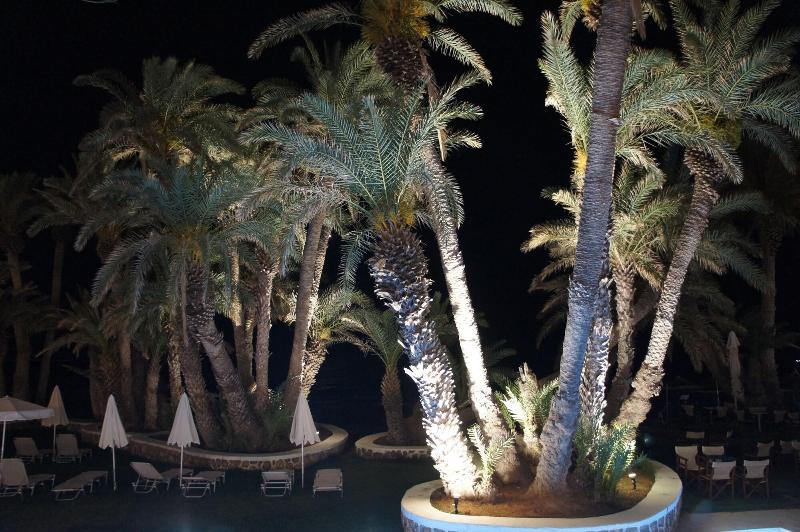Palm Beach Hotel image