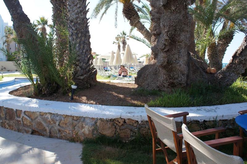 Palm Beach Hotel image