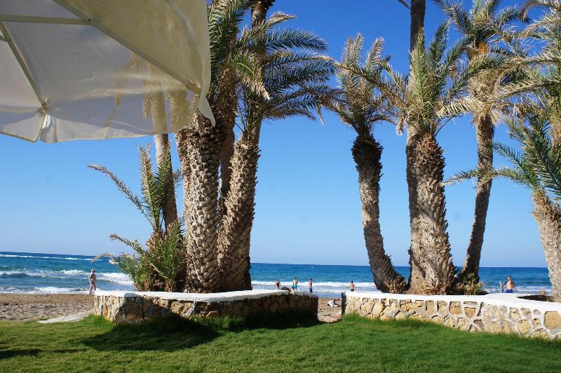 Palm Beach Hotel image