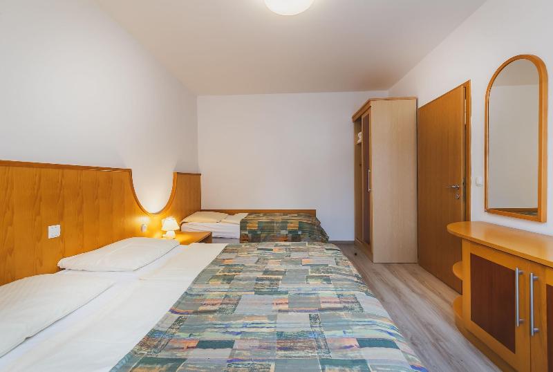 Apartments Vitranc image