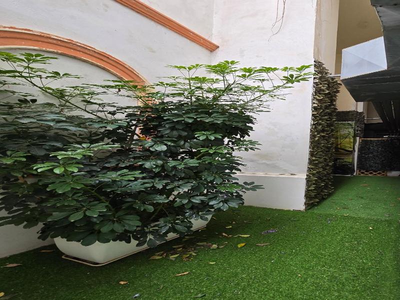 Il Nido image