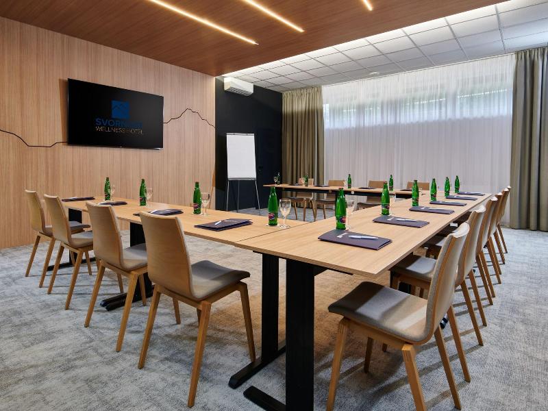 Wellness Hotel Svornost image