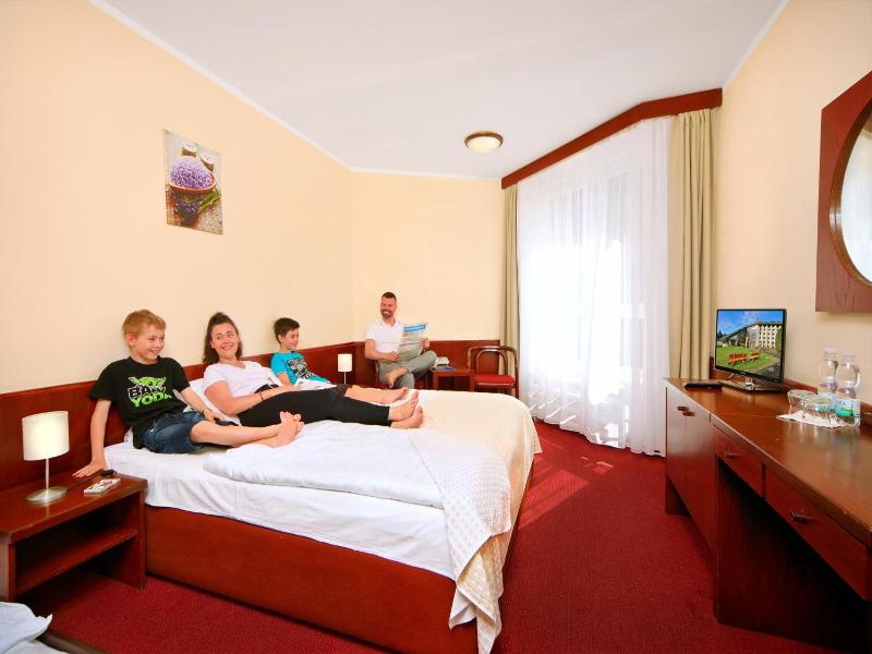 Wellness Hotel Svornost image