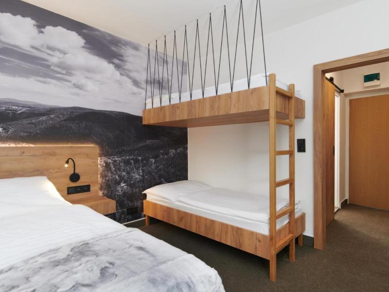 Wellness Hotel Svornost image
